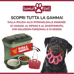 BAMA PET: Ama il tuo migliore amico!